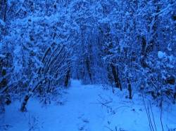 Welcome to Transylvania